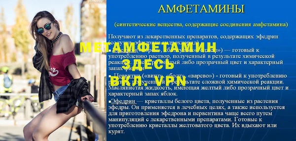 сатива Заволжье