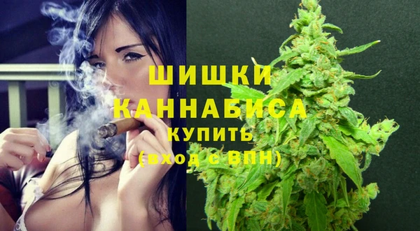 сатива Заволжье