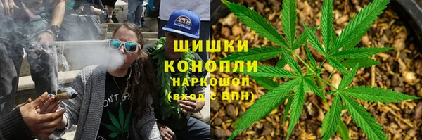 сатива Заволжье