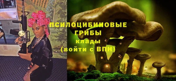 сатива Заволжье