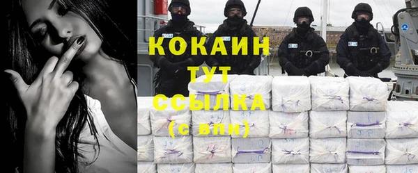дурь Заводоуковск