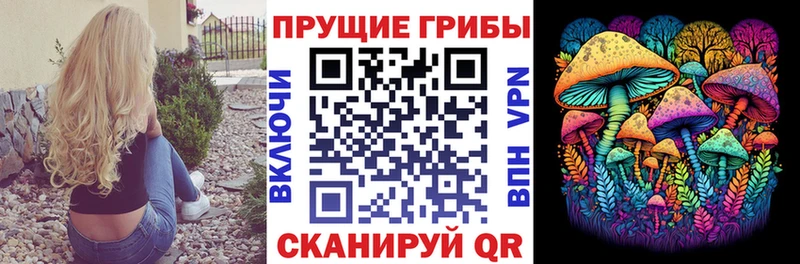 Купить закладки Великие Луки Псилоцибиновые грибы Cubensis